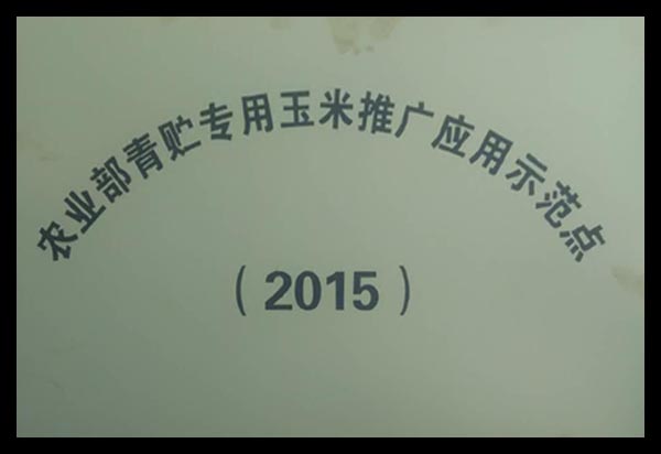農(nóng)業(yè)部青貯玉米示范點(diǎn)