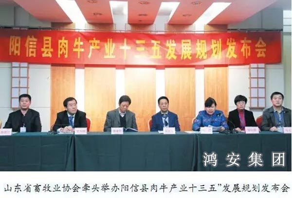 陽(yáng)信“十三五”誓爭(zhēng)中國(guó)第一“?！笨h