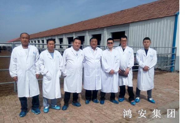 草原宏達(dá)有限公司董事長(zhǎng)樊偉龍到公司參觀考察 草原宏達(dá)有限公司董事長(zhǎng)樊偉龍到公司參觀考察