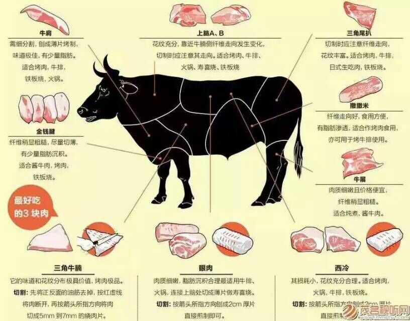 肉類食品安全帶你認識全球4大頂級牛肉 肉類食品安全帶你認識全球4大頂級牛肉