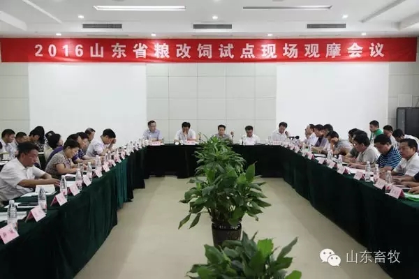 全省“糧改飼”試點現(xiàn)場觀摩會召開 全省“糧改飼”試點現(xiàn)場觀摩會召開