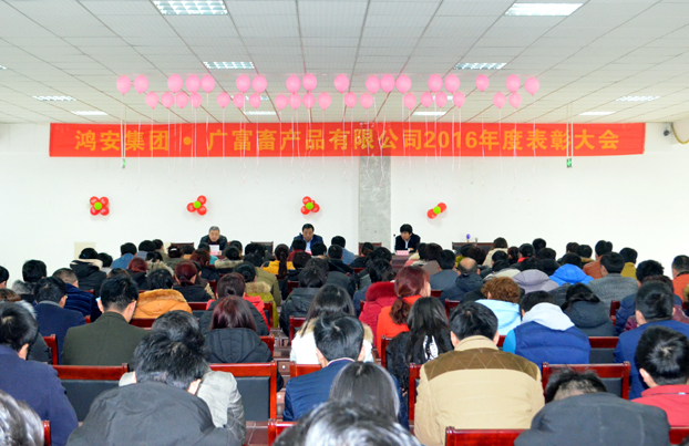 鴻安集團(tuán)召開2016年度表彰大會 鴻安集團(tuán)召開2016年度表彰大會