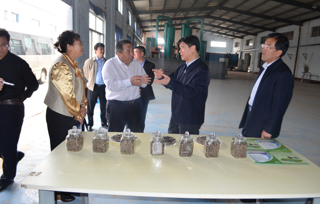 市長崔洪剛到我公司調研新舊動能轉換工作 市長崔洪剛到我公司調研新舊動能轉換工作